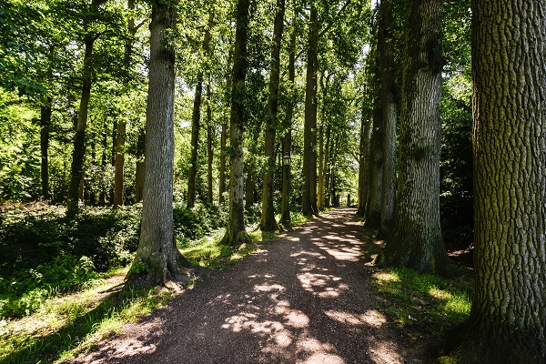 Buitenplaats de Bergse Bossen Driebergen - genomineerd voor Gaia Green Awards 2023